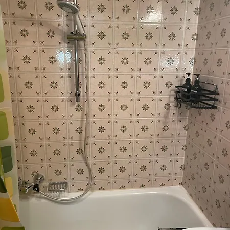 Wieser Appartement Sankt Jakob in Haus