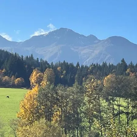 Wieser Appartement Sankt Jakob in Haus