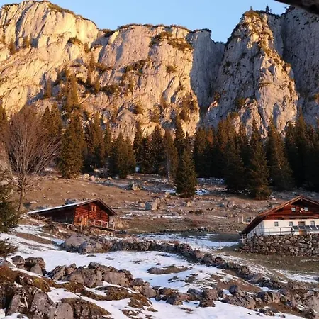Wieser Appartement Sankt Jakob in Haus