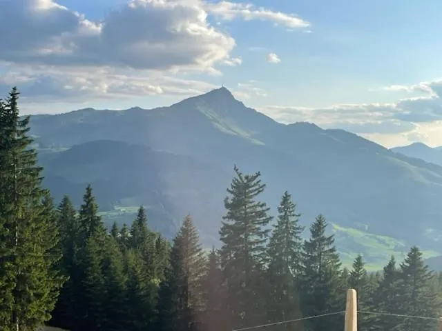 Appartement Wieser *