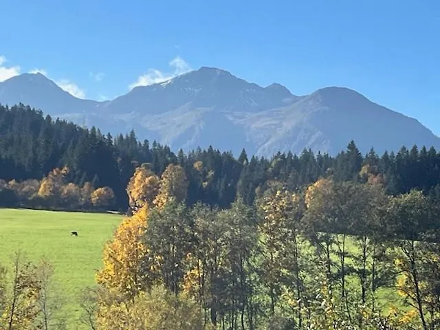 Wieser Appartement Sankt Jakob in Haus